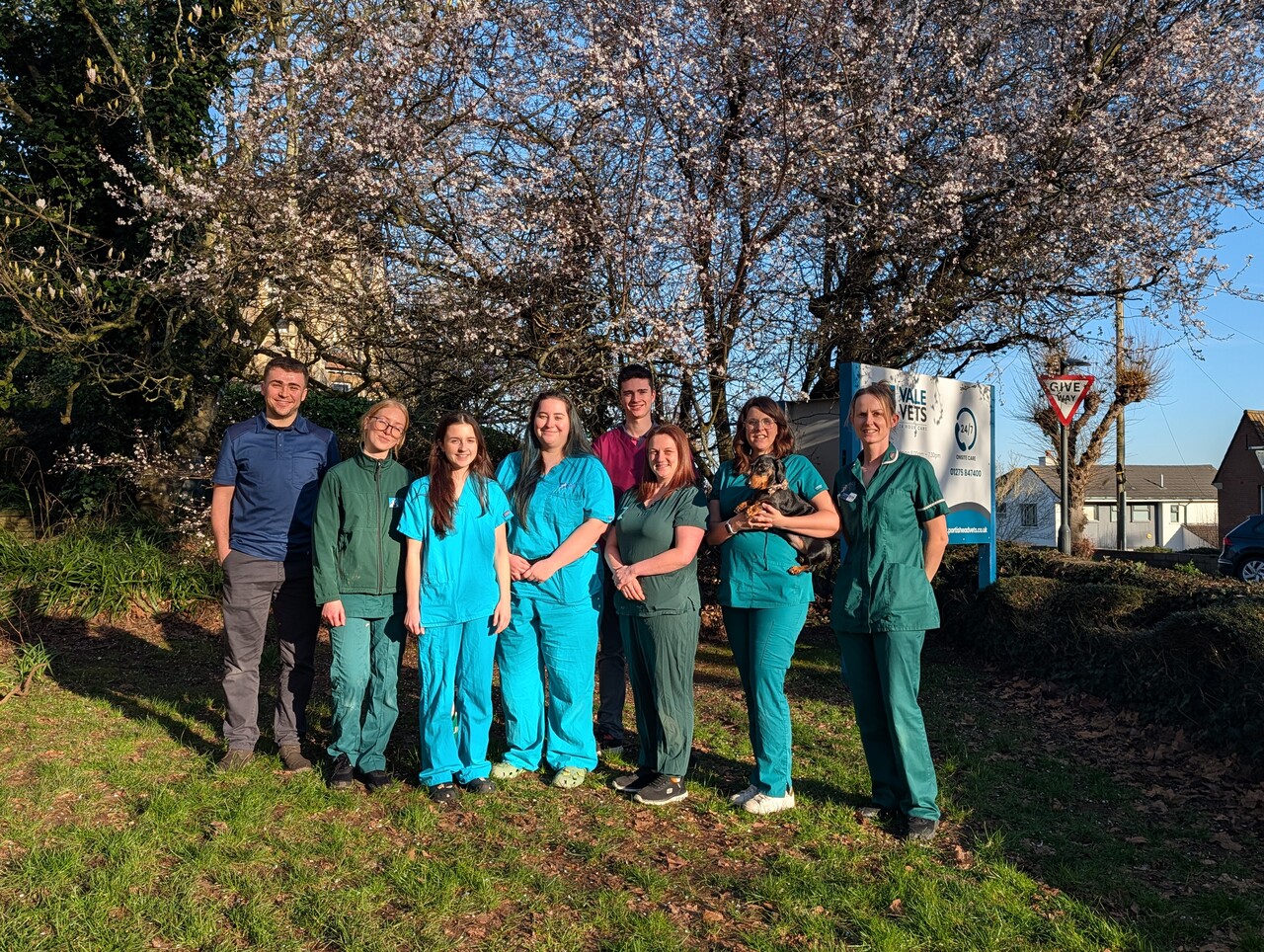 Vale Vet Hospital Portishead Team