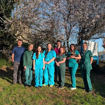 Vale Vet Hospital - Portishead Team
