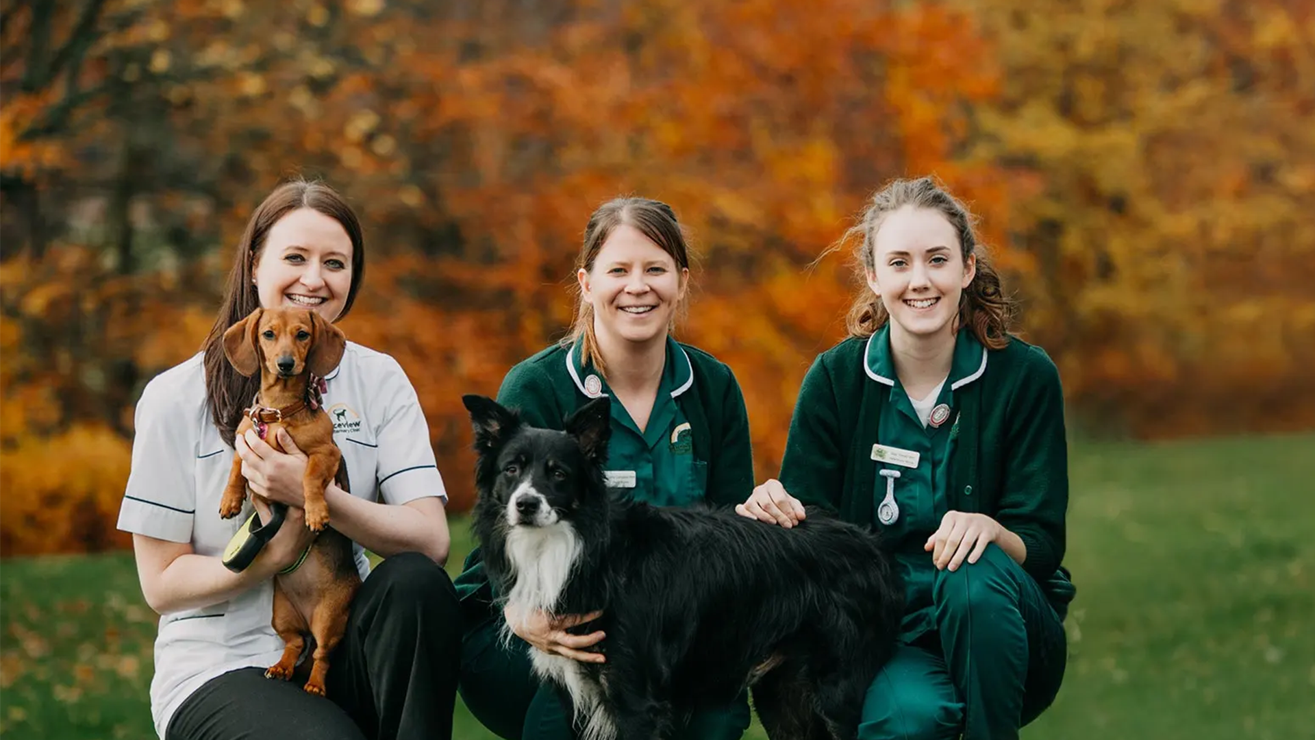 Bruceview Vets, Stirling Team
