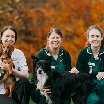 Bruceview Vets, Stirling Team