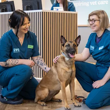 Heartland Veterinary Services, Pitlochry Team