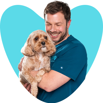 Dr David Tweedle holding a dog
