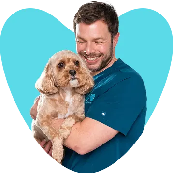 Dr David Tweedle holding a dog