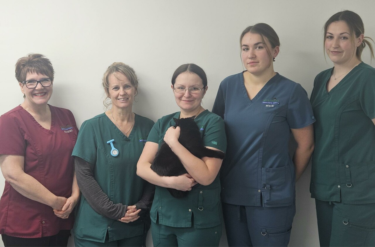 Miramar Vets - Sheringham Team