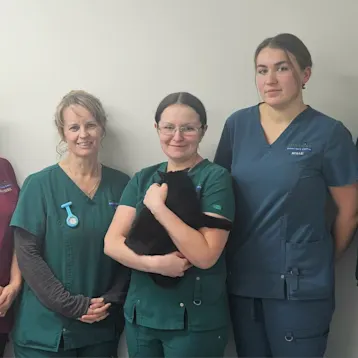 Miramar Vets - Sheringham Team