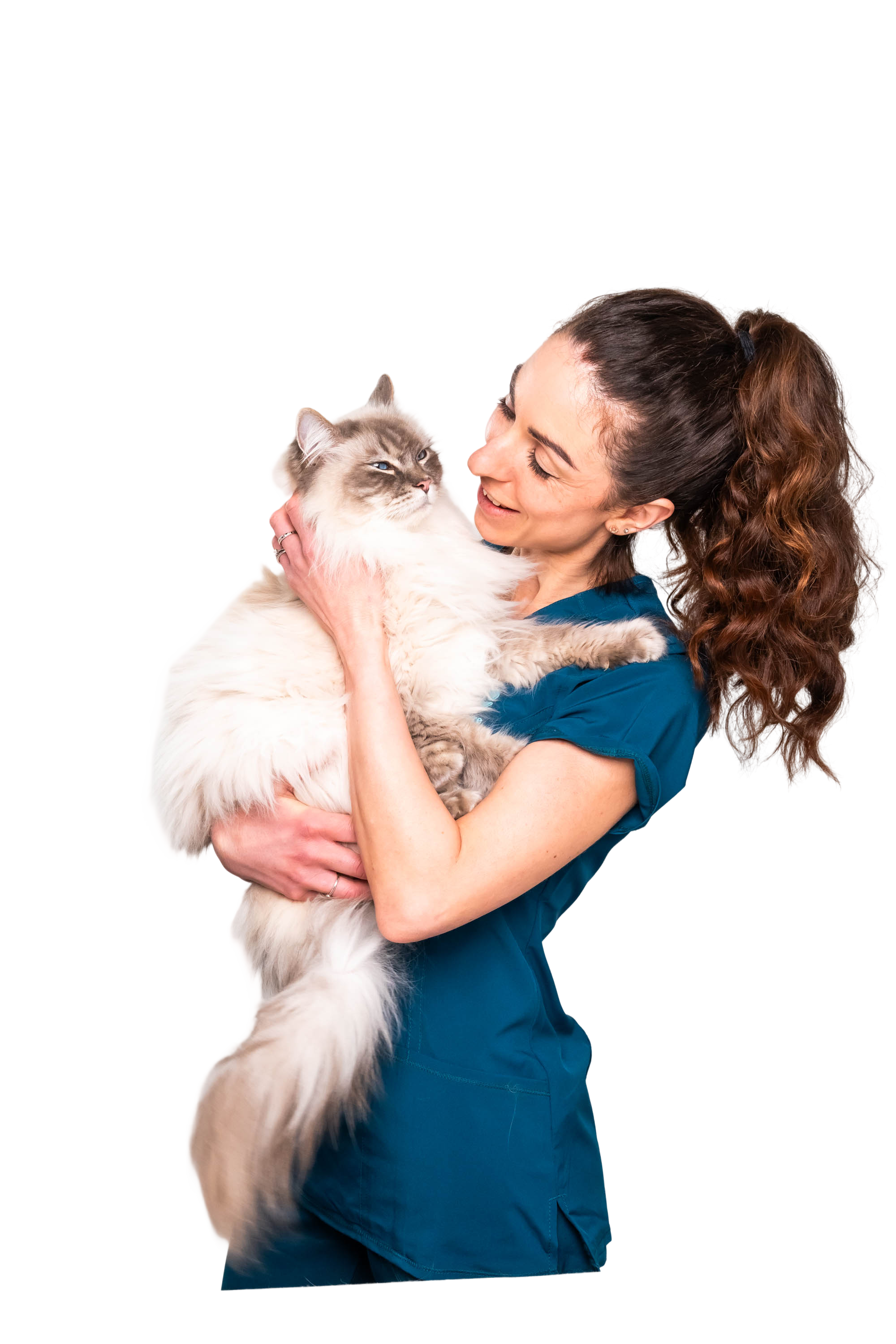 Person holding cat