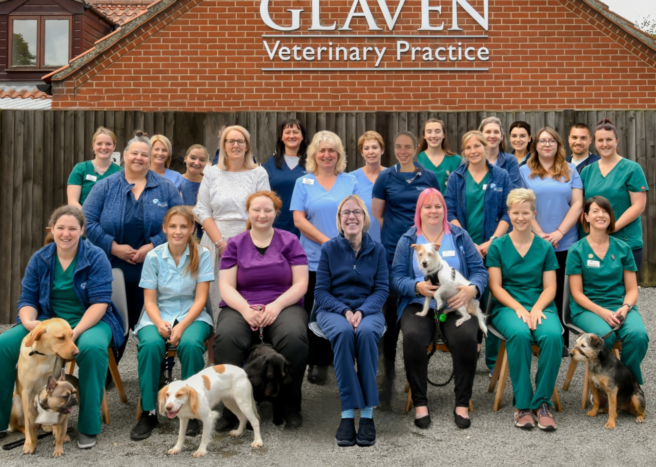 Glaven Vets - Wells Team