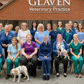 Glaven Vets - Holt Team