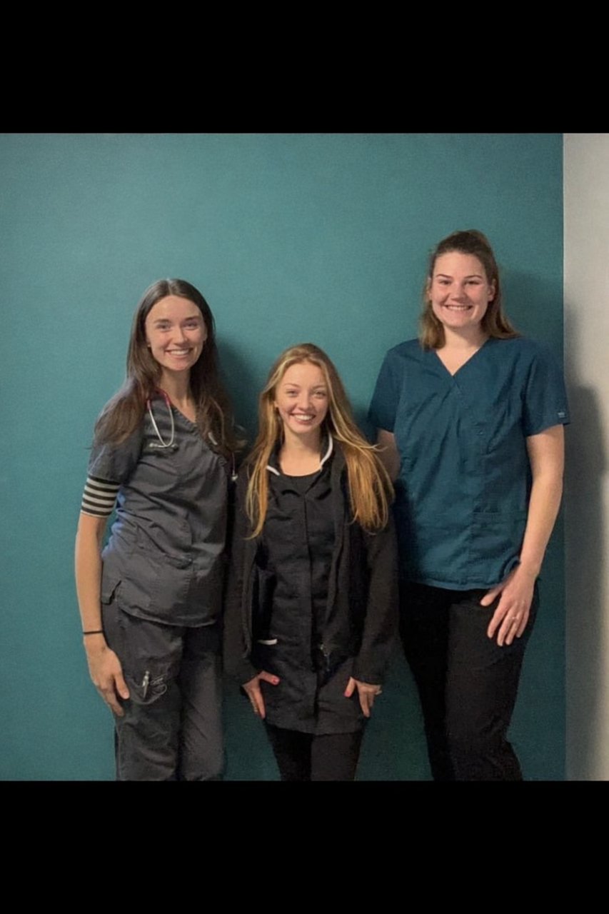 Spring Lodge Veterinary Group, Great Notley Team
