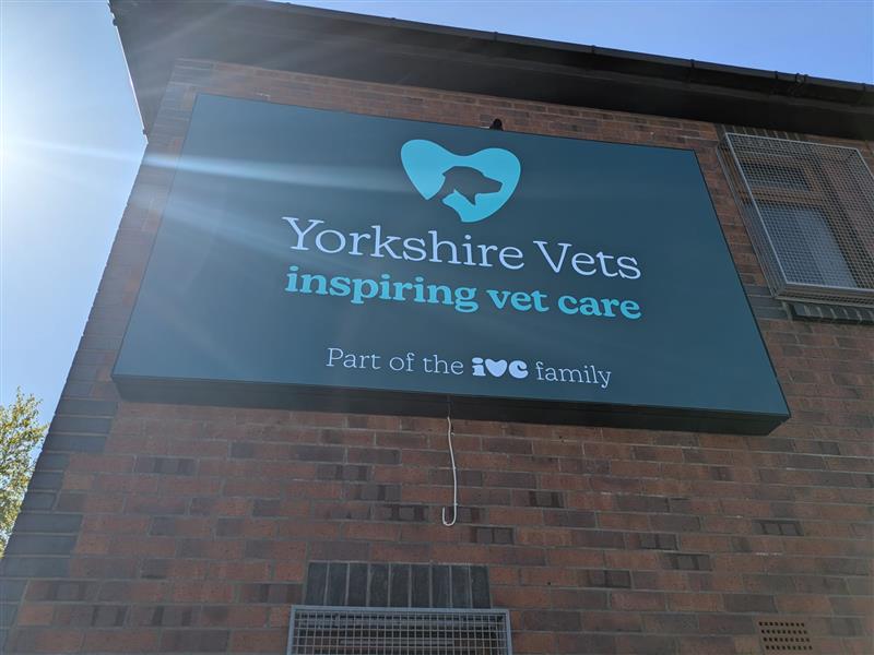 Yorkshire Vets, Armley Surgery Team