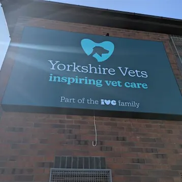 Yorkshire Vets - Armley Team