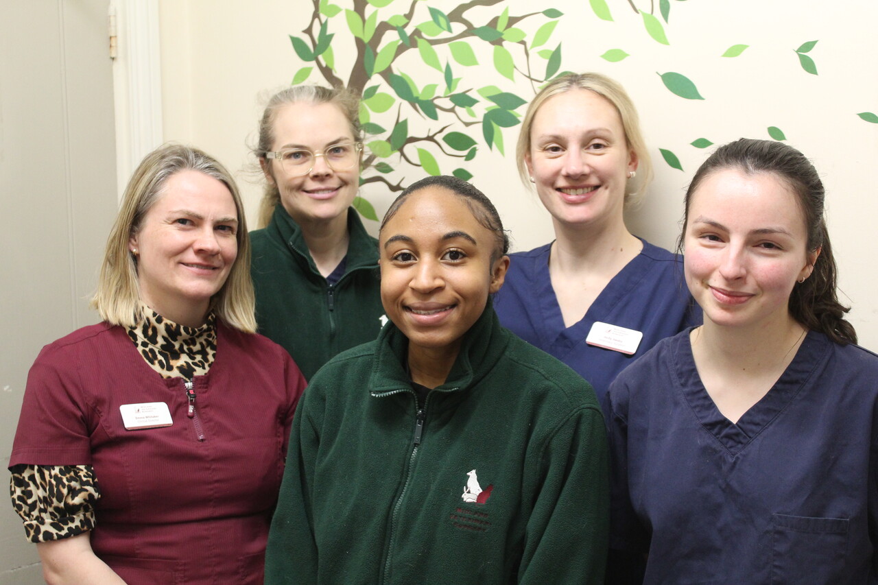 Midland Vets - Leyton Team
