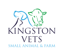 Kingston Vets previous logo