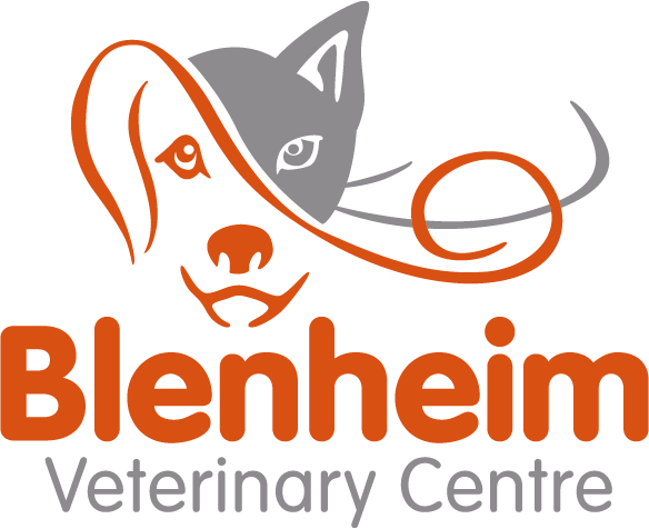 Blenheim Vets previous logo