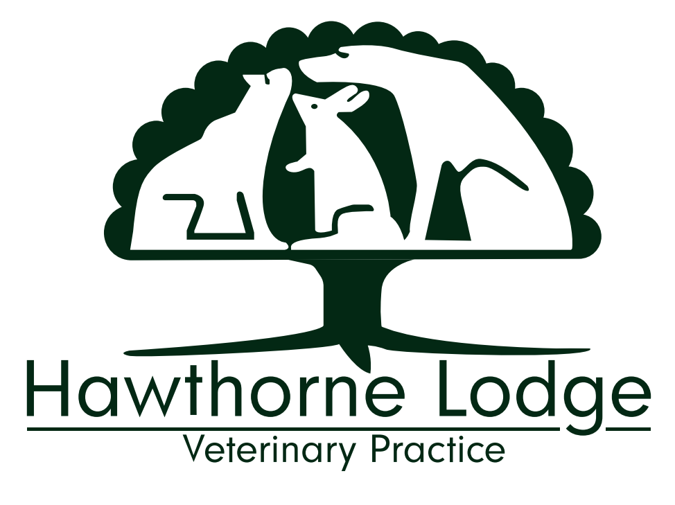 Hawthorne Lodge Vets previous logo