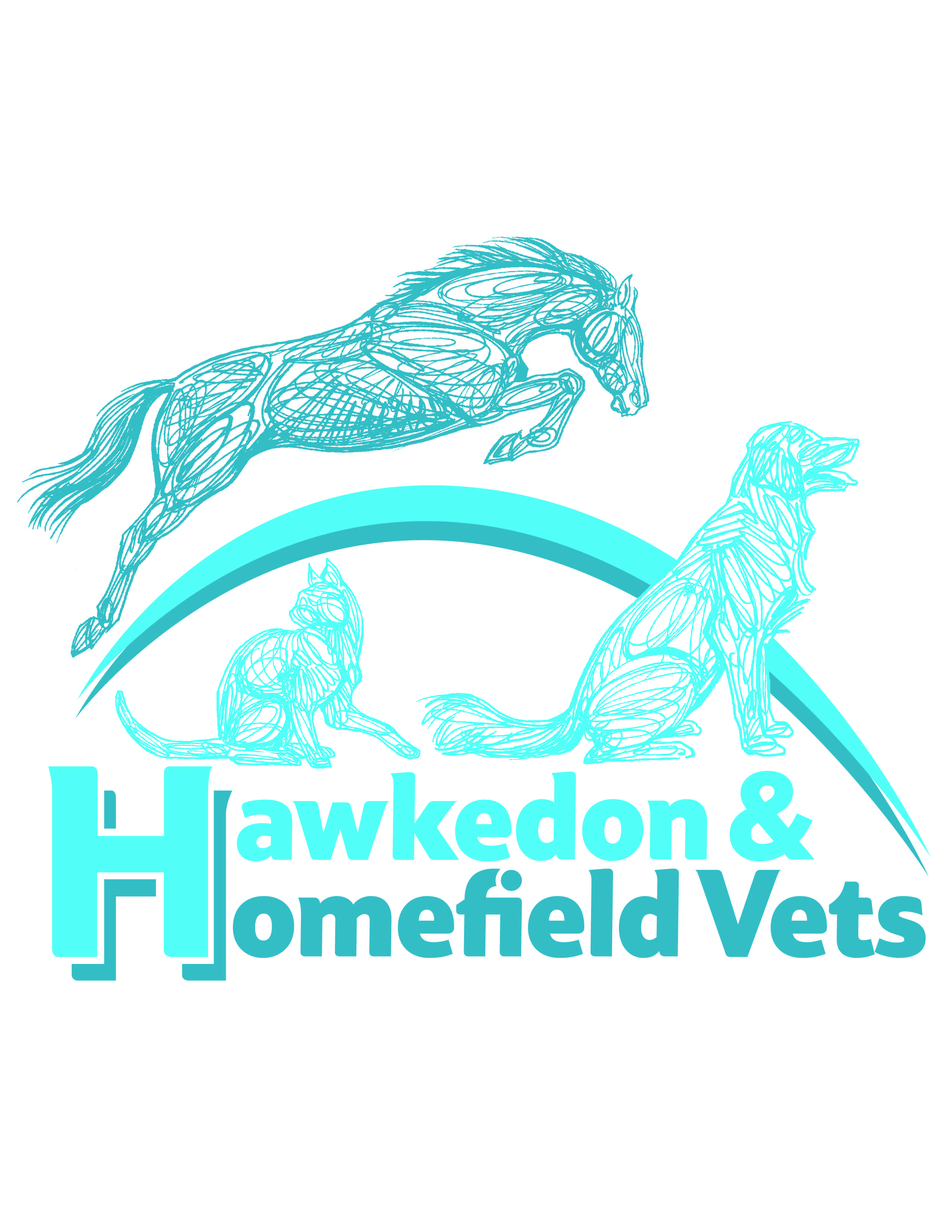 Hawkedon & Homefield Vets previous logo