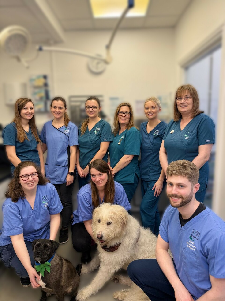 Corner House Vets, Herne Bay Team