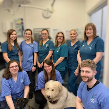 Corner House Vets, Herne Bay Team