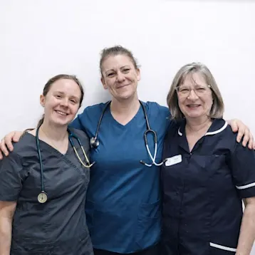 Spring Lodge Vets, Tiptree Team