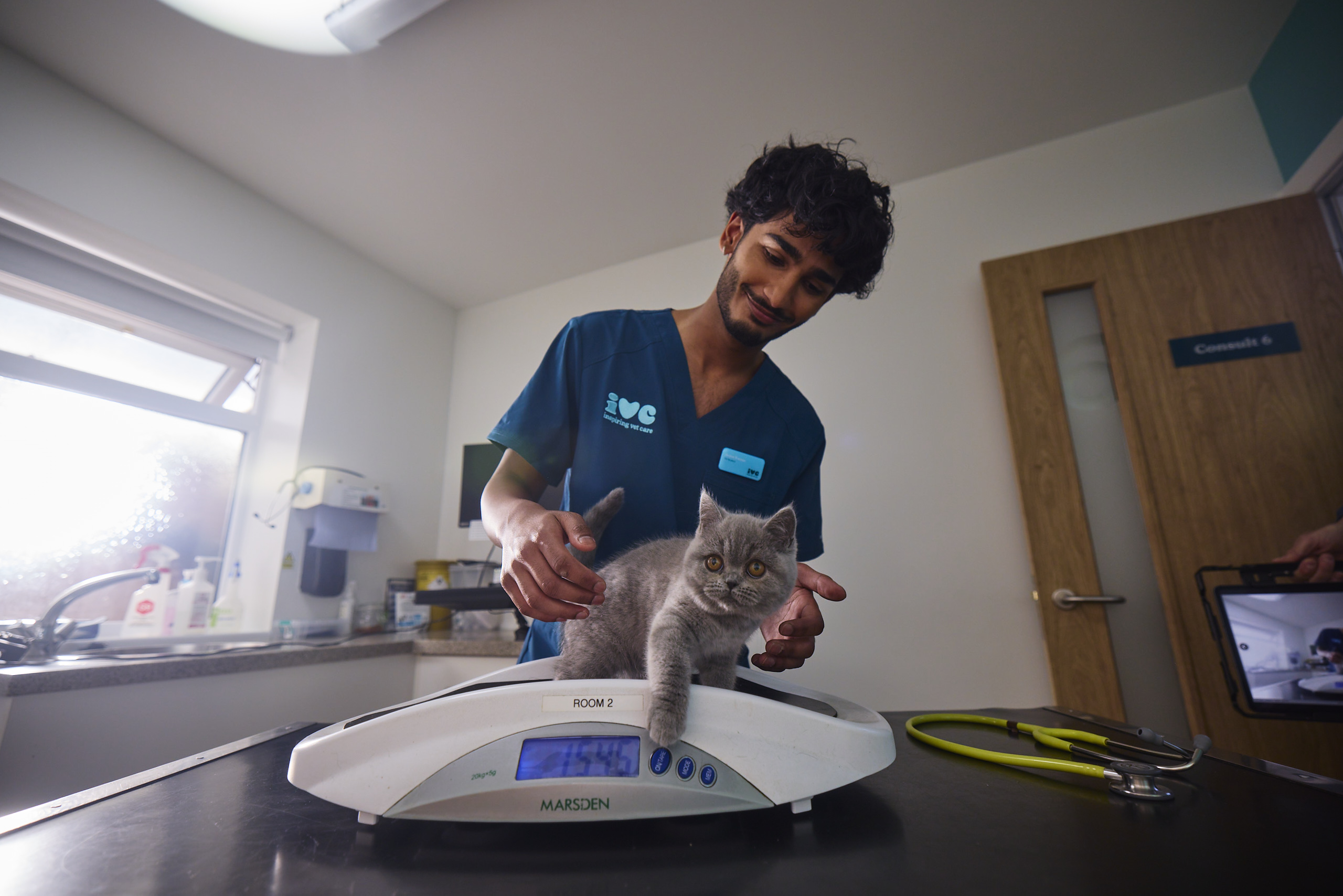 Homepage hero vet with cat
