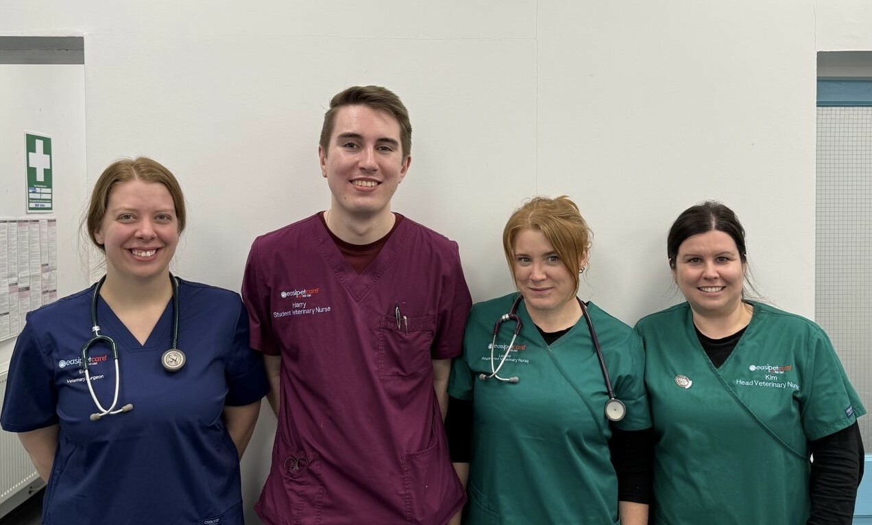 Easipetcare - Dovedale House Team