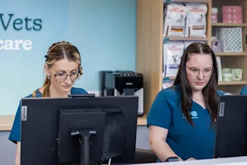 Vet and vet nurse welcoming clients at IVC practice reception desk.