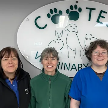 Cootes Vets - Burgess Hill Team