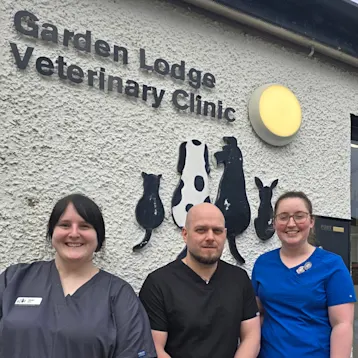 Garden Lodge Vets - Holywood Team