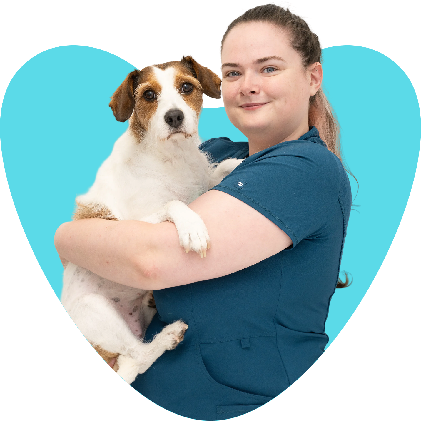 Chloe on The Joy of Pets