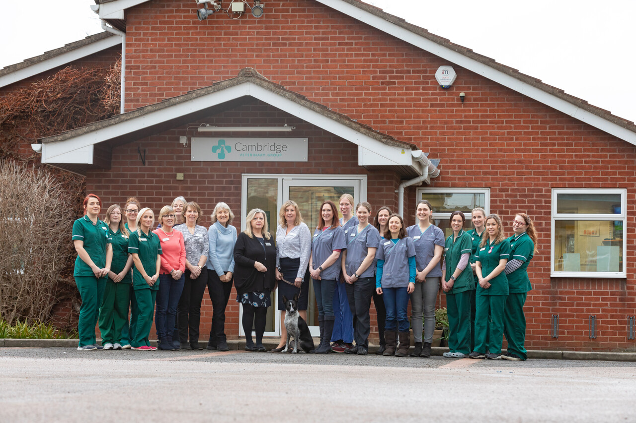 Cambridge Veterinary Group, Cherry Hinton Team