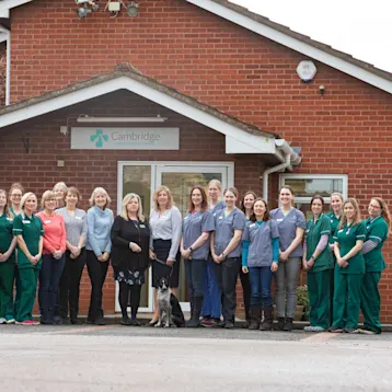 Cambridge Veterinary Group, Cherry Hinton Team
