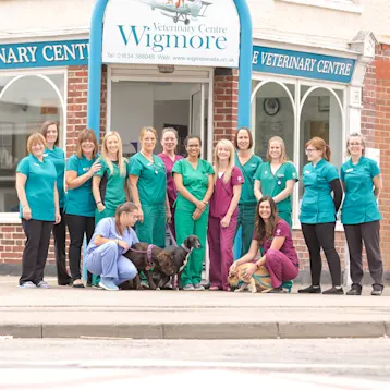 Wigmore Vets, Rainham Team