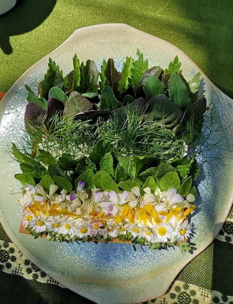 Résidence culinaire sauvage tarte fine végétarienne tarte végétale recette végétale potager permaculture