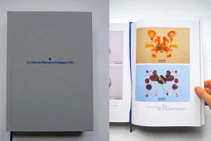  Livre annuel du club des Directeurs artistiques 2013.