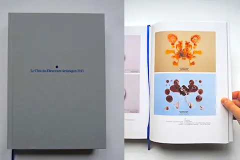  Livre annuel du club des Directeurs artistiques 2013.