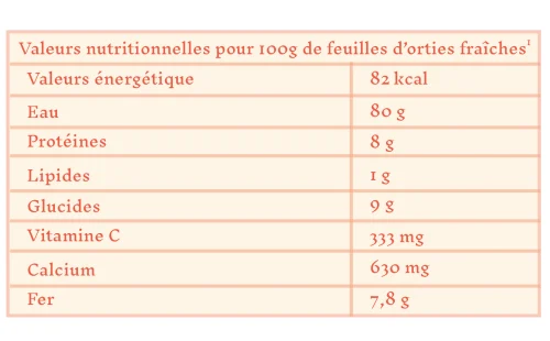 Article-cuisinesauvage-ortie-LorineHennebelle-2021