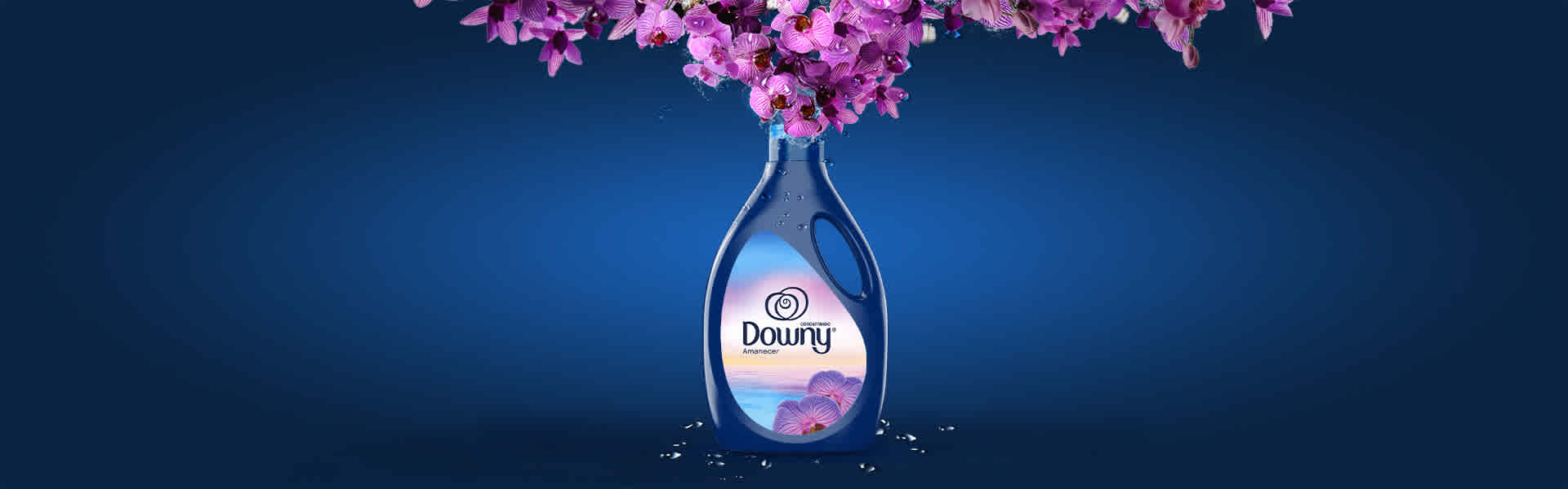 Downy Aurora 2