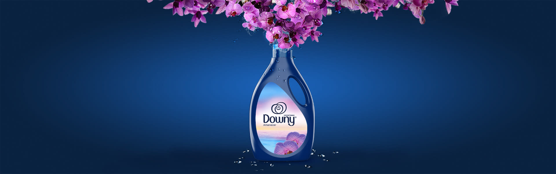Downy Aurora 2