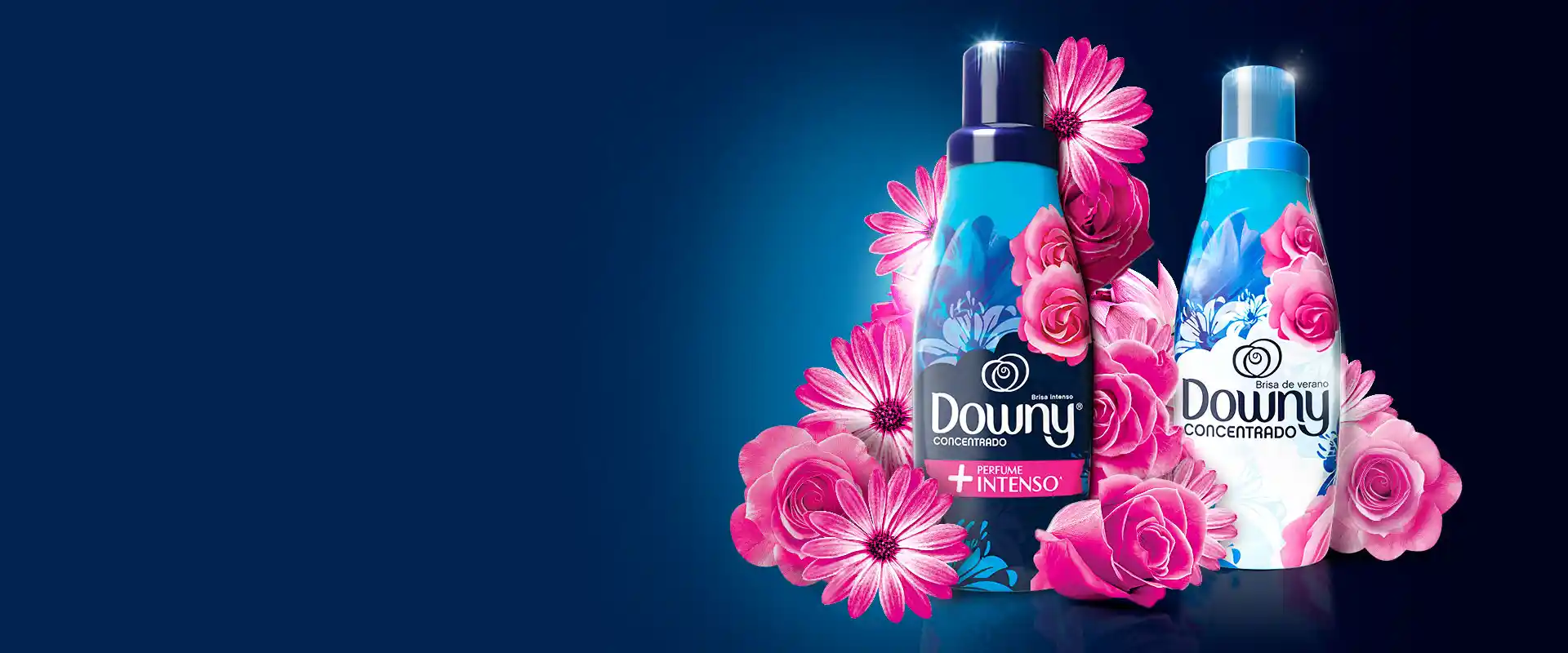 Downy Chile