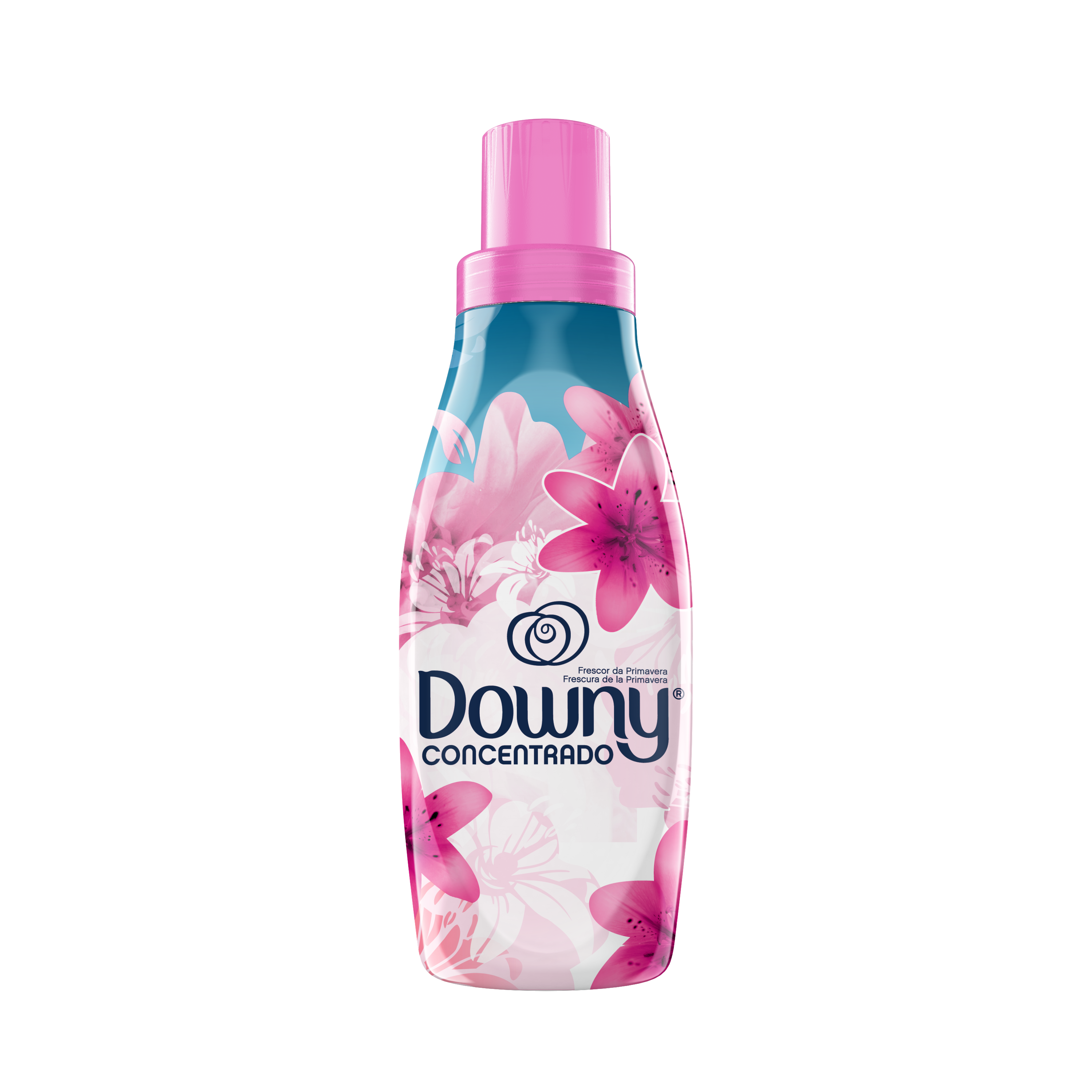 Downy Chile