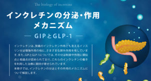 インクレチン　～GIP・GLP-1の役割について～