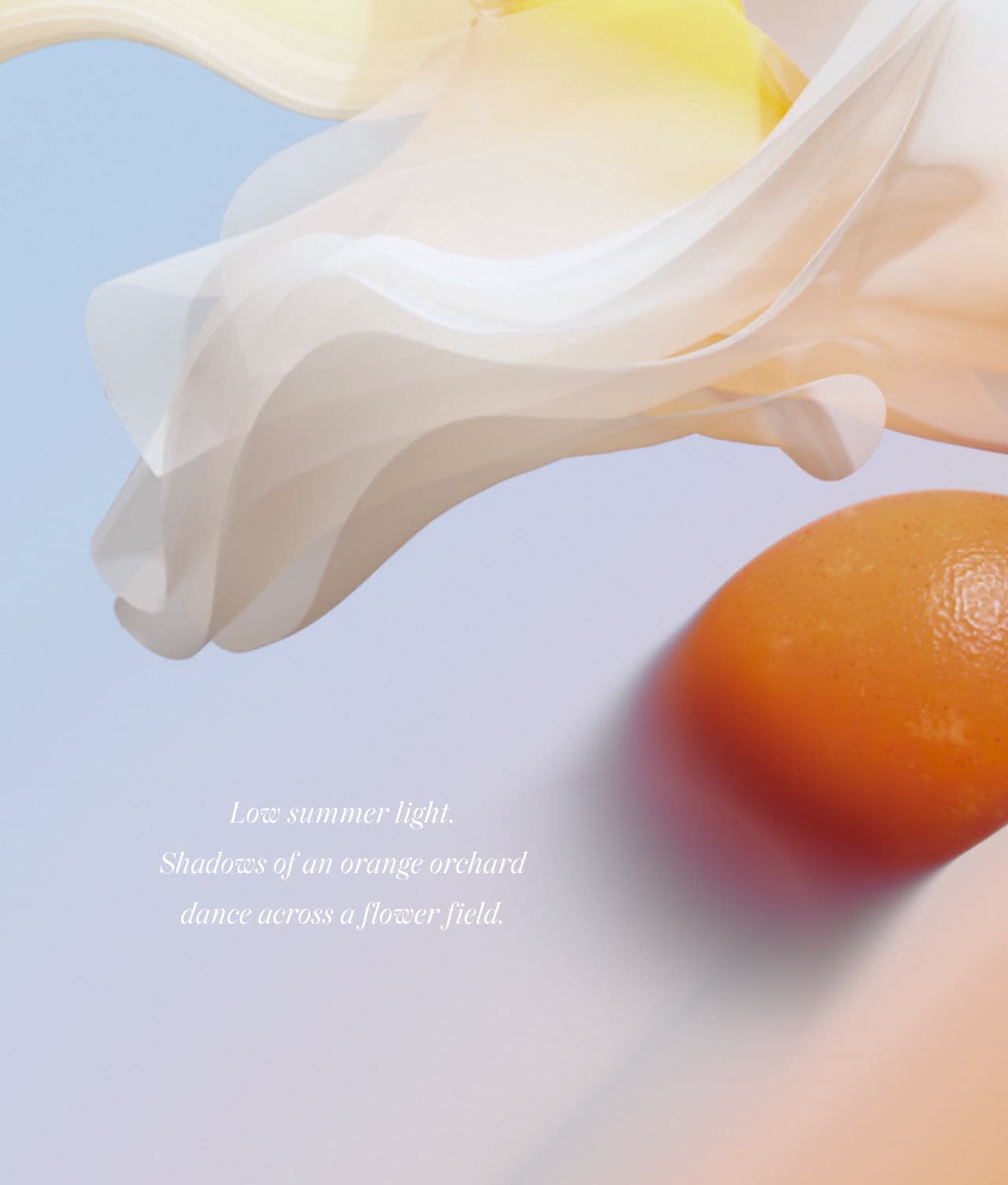 Art from nature - Love summer light