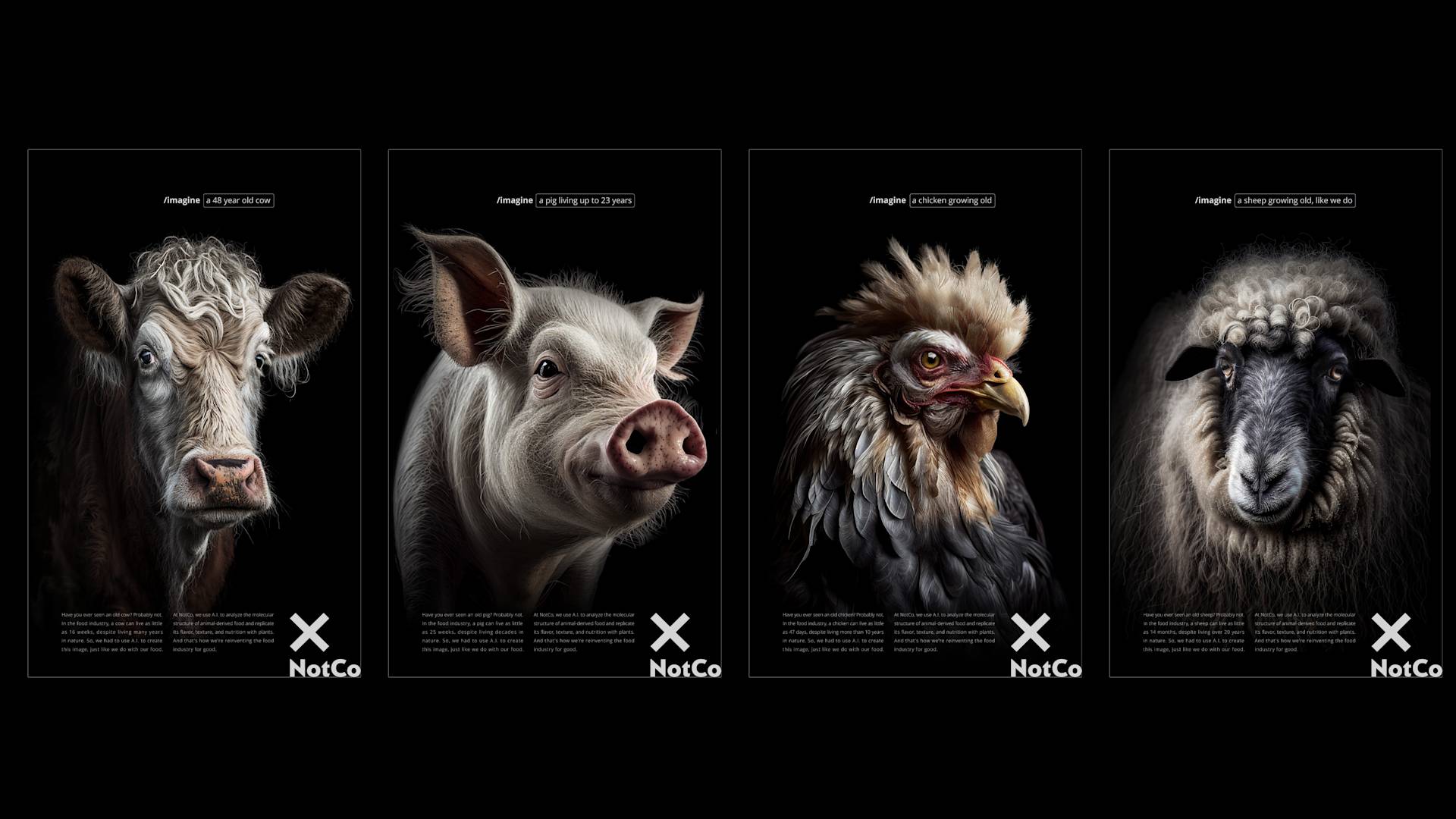 Four detailed portraits on a black background: a cow, a pig, a rooster, and a sheep. Each animal is photographed individually, facing forward. The NotCo logo and name appear in the lower right of each image.