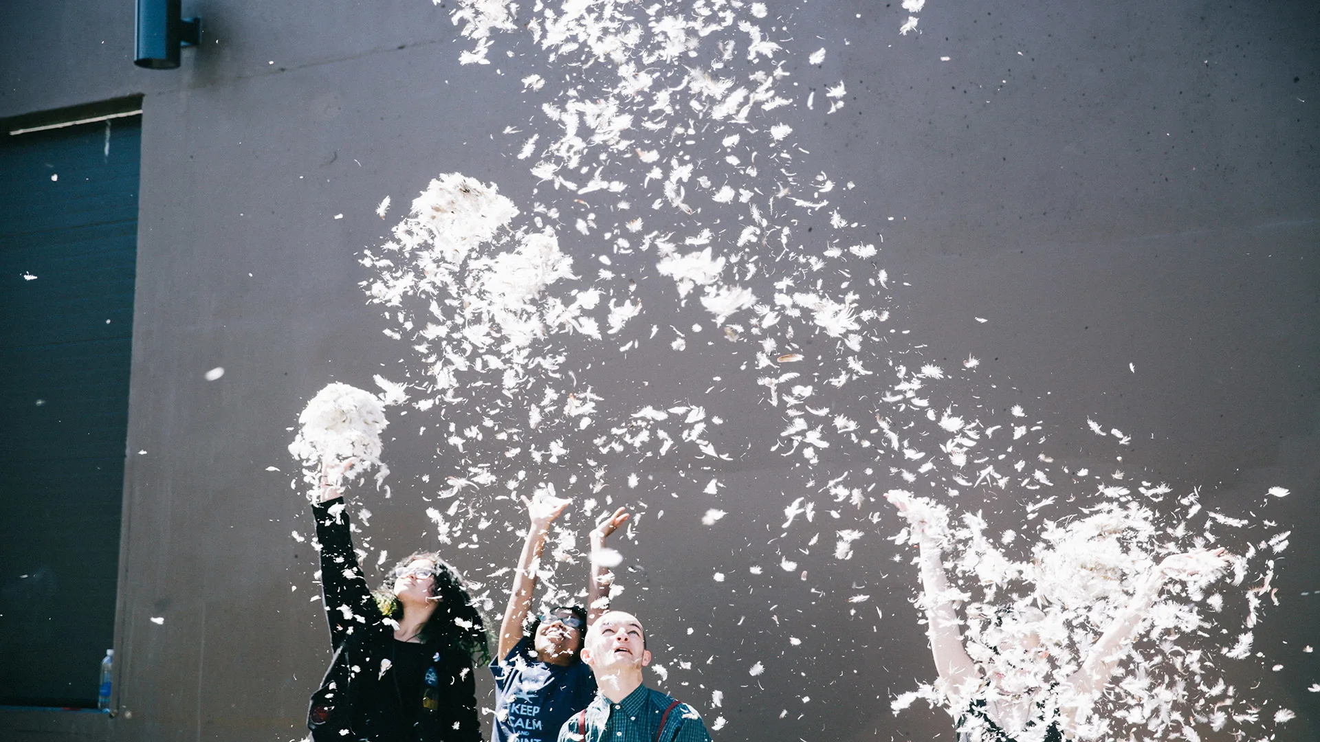 Four people stand outside against a gray wall, joyfully throwing handfuls of white feathers into the air, which cascade and scatter above them. Their arms are raised, and sunlight highlights the flying feathers.