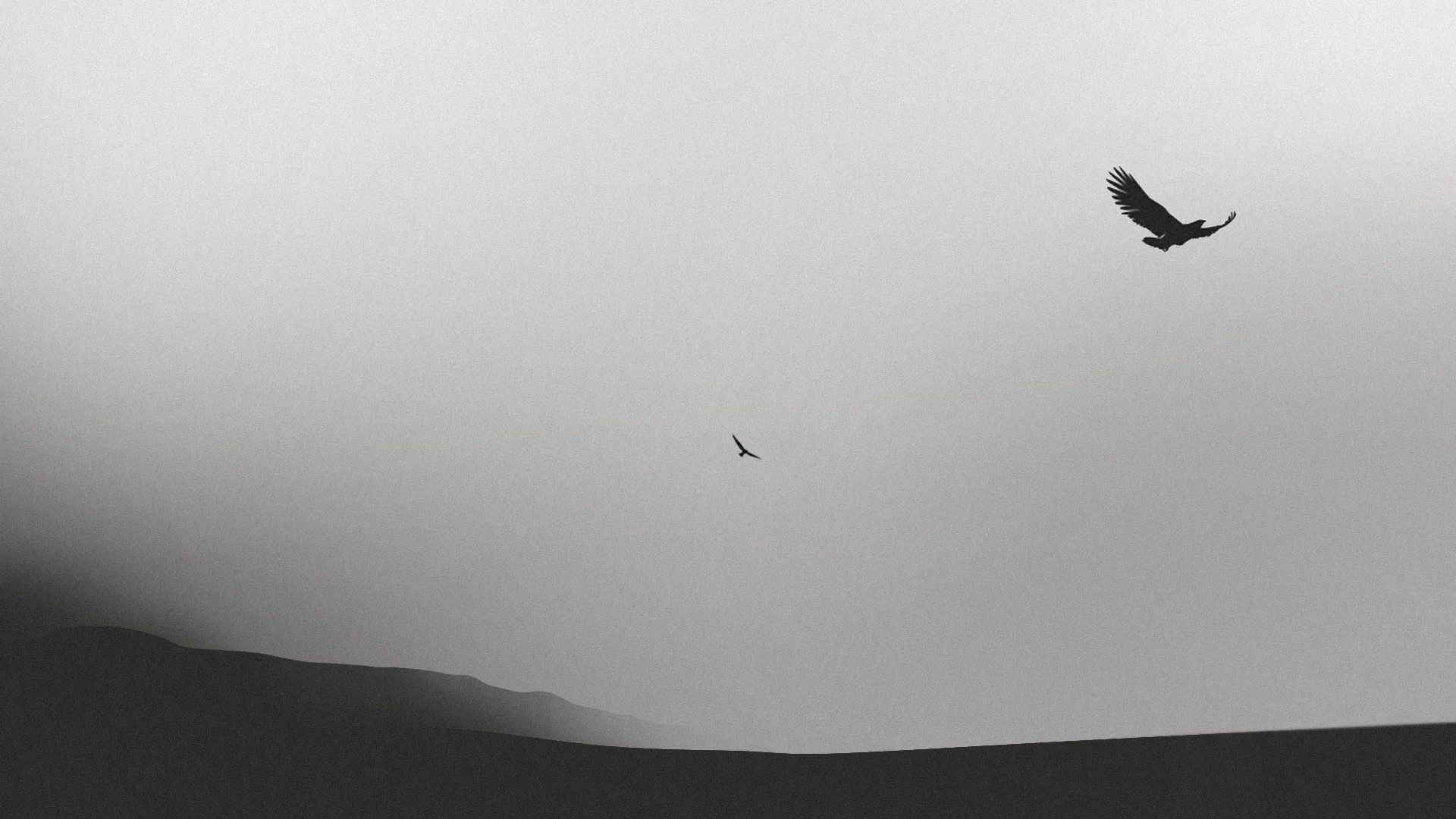 Black and white image of two birds flying in a vast, empty sky above distant, shadowy hills. One bird is large and close in the upper right, while the other is small and far away near the center.