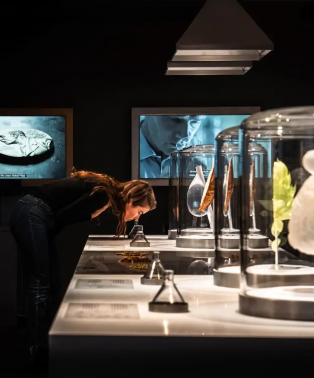 A woman leans over to closely examine objects displayed in glass cases at a modern museum exhibit, with illuminated displays and screens featuring black-and-white photos in the background.