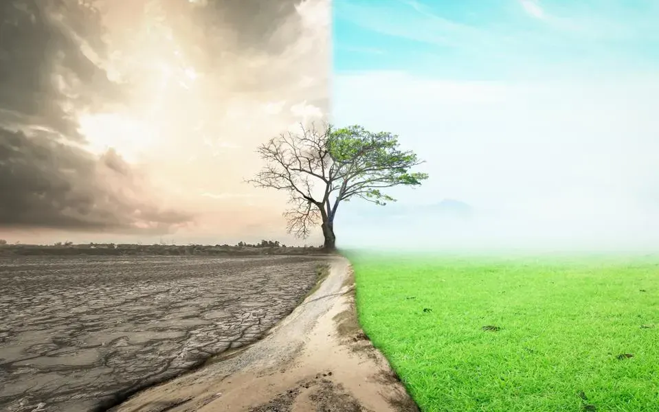 A single tree stands at the center, dividing two landscapes: one side is dry, cracked, and barren with dark clouds, while the other side is lush, green, and vibrant under a bright sky.