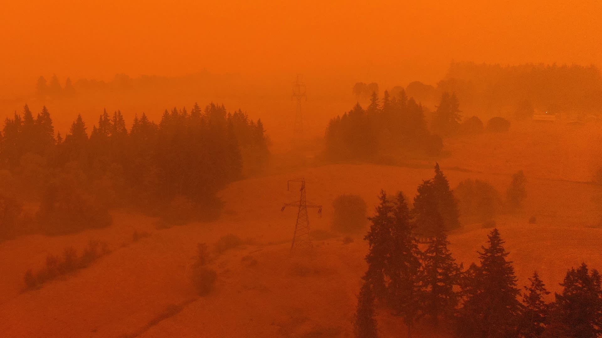 A landscape blanketed in dense orange smoke from a wildfire, with trees, fields, and power lines barely visible through the haze.
