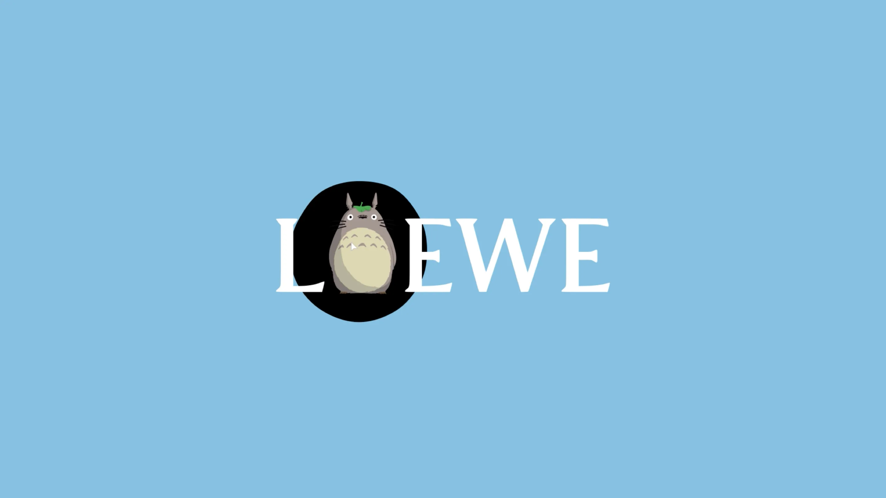 Loewe-Hero-case