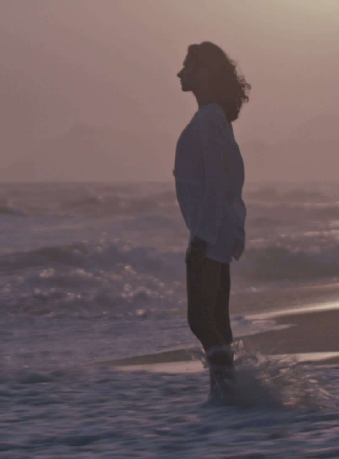 Netflix Vista Gallery3